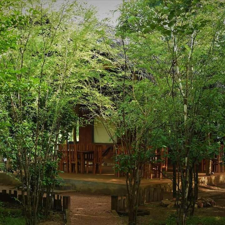 Sky Forest Habarana Zewnętrze zdjęcie