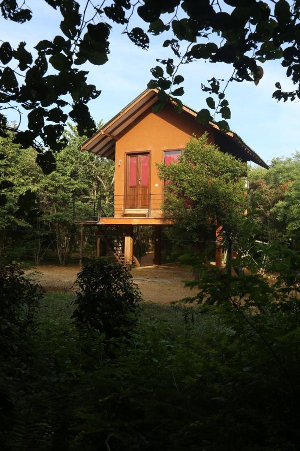 Sky Forest Habarana Zewnętrze zdjęcie