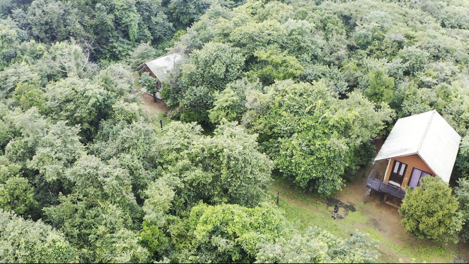 Sky Forest Habarana Zewnętrze zdjęcie