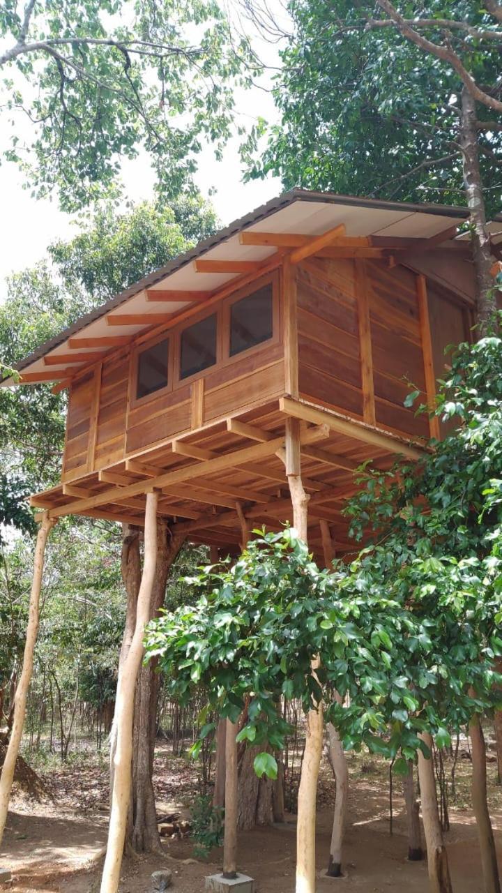 Sky Forest Habarana Zewnętrze zdjęcie