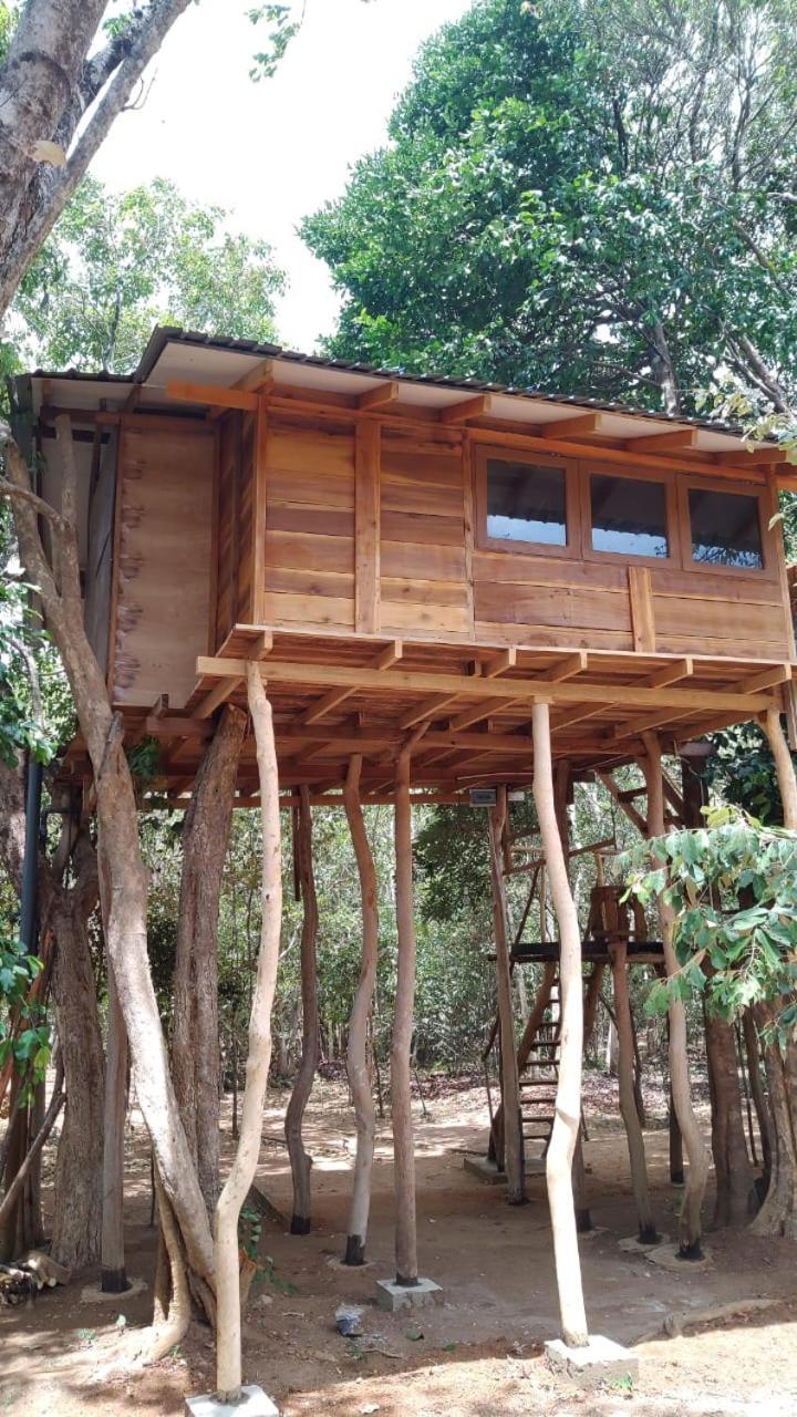 Sky Forest Habarana Zewnętrze zdjęcie