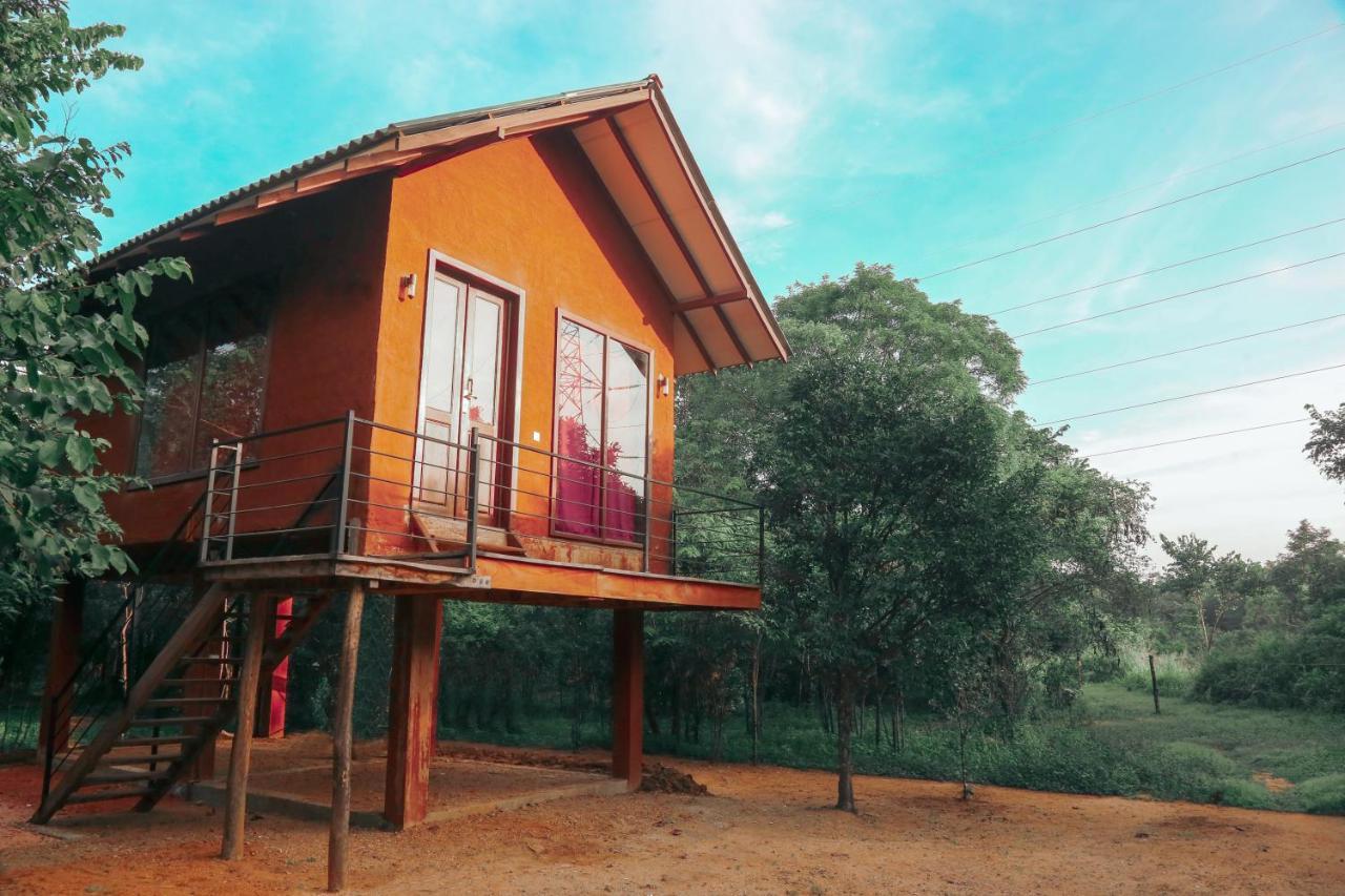 Sky Forest Habarana Zewnętrze zdjęcie