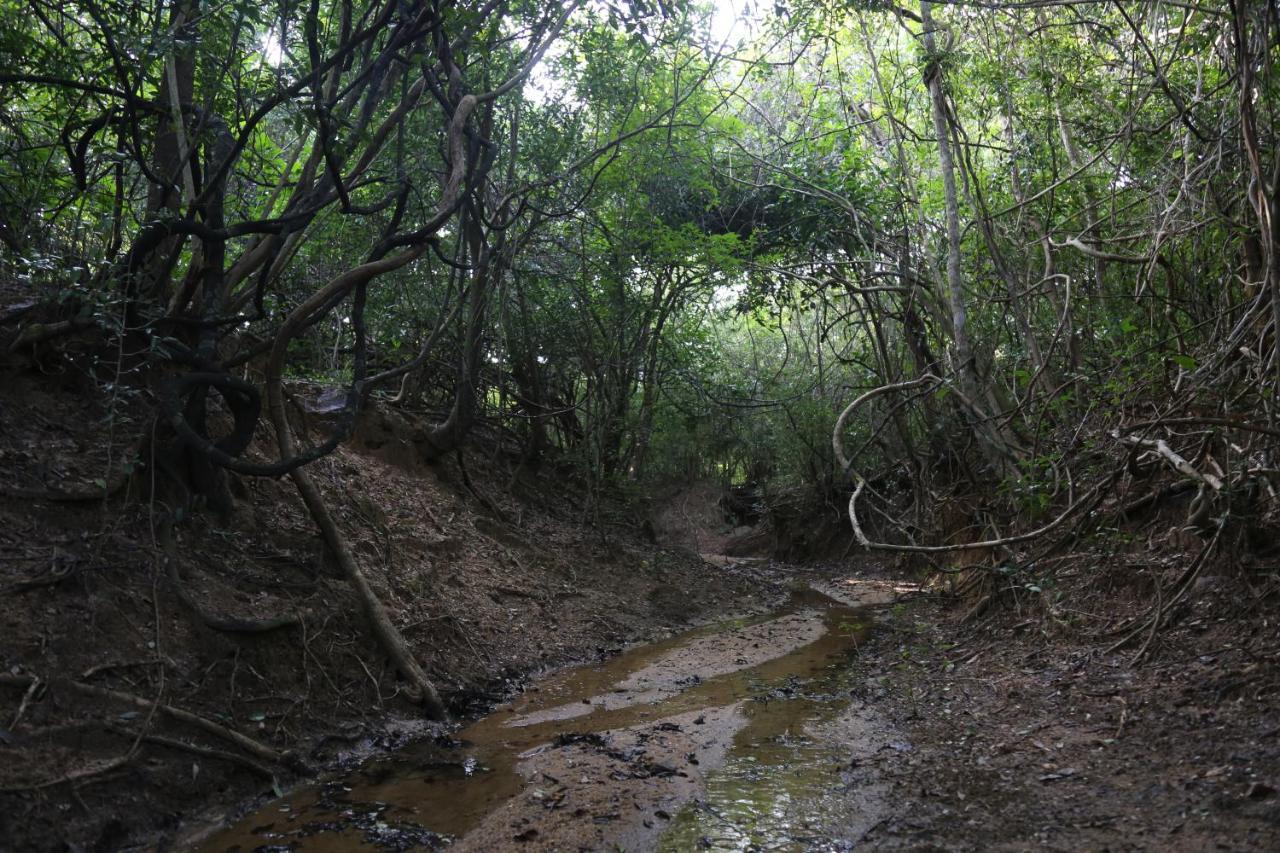 Sky Forest Habarana Zewnętrze zdjęcie